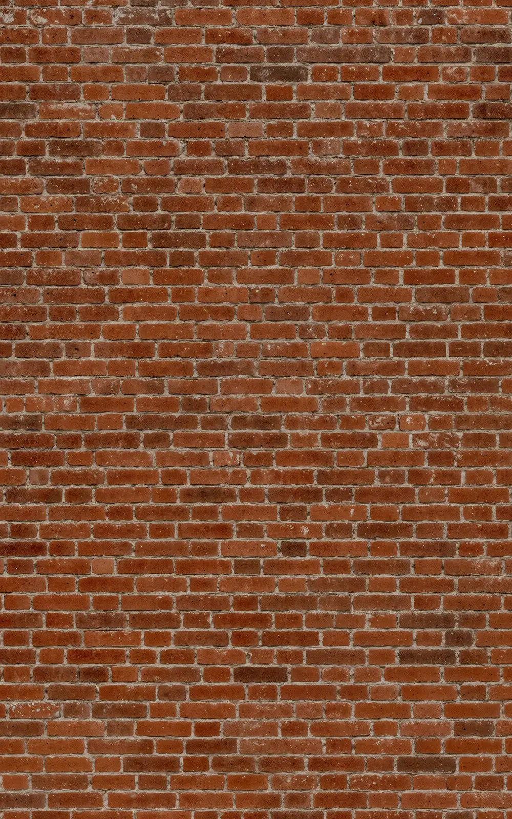 Authentic Weathered Brick Wall