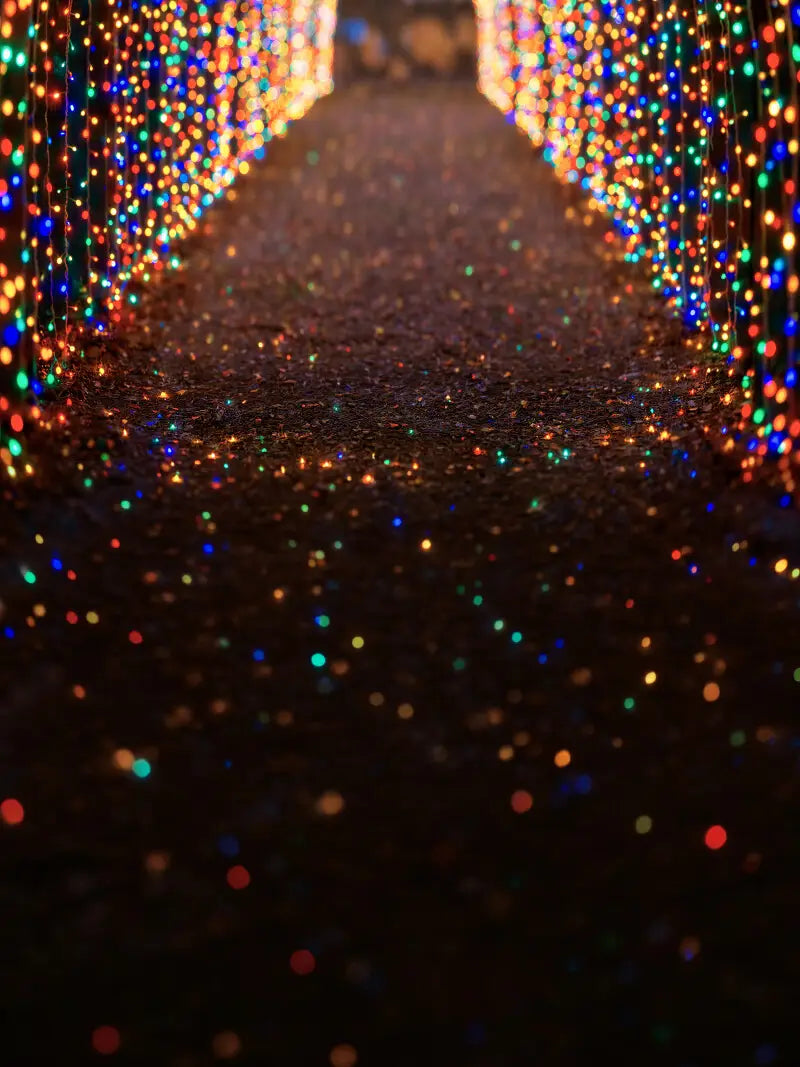 Multicolored Christmas Light Path Sweep