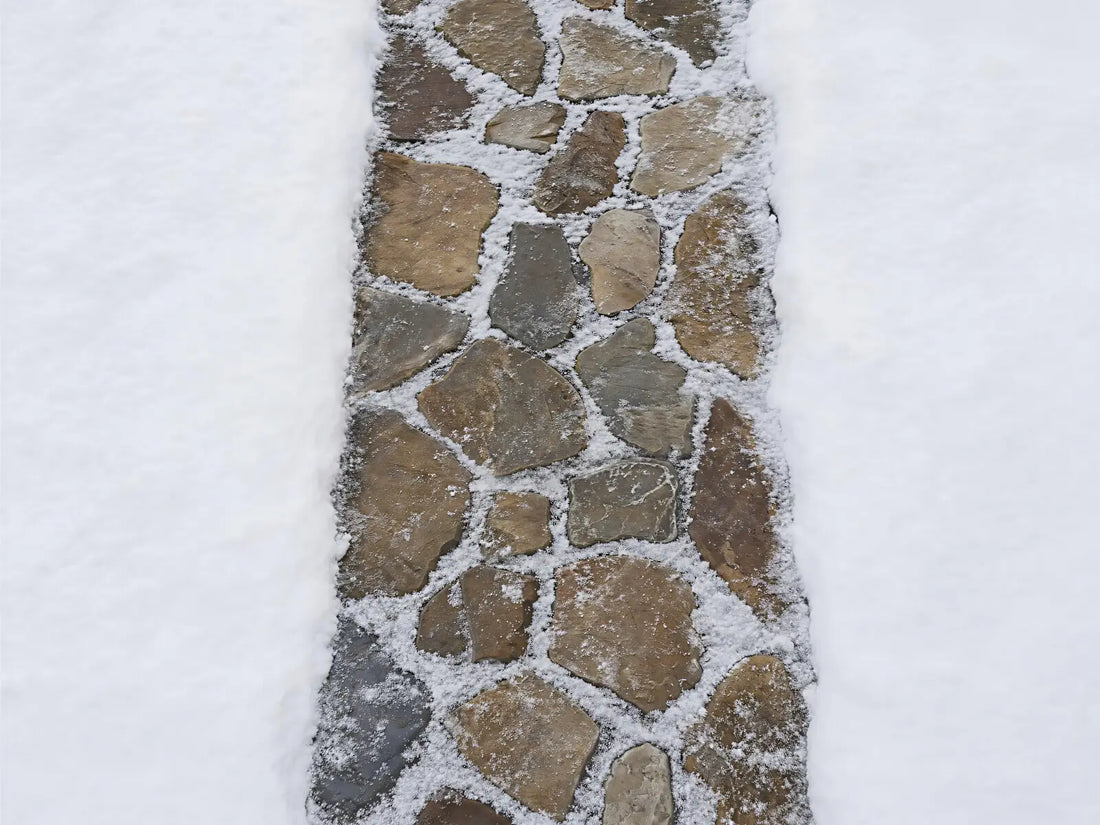 Winter Walkway