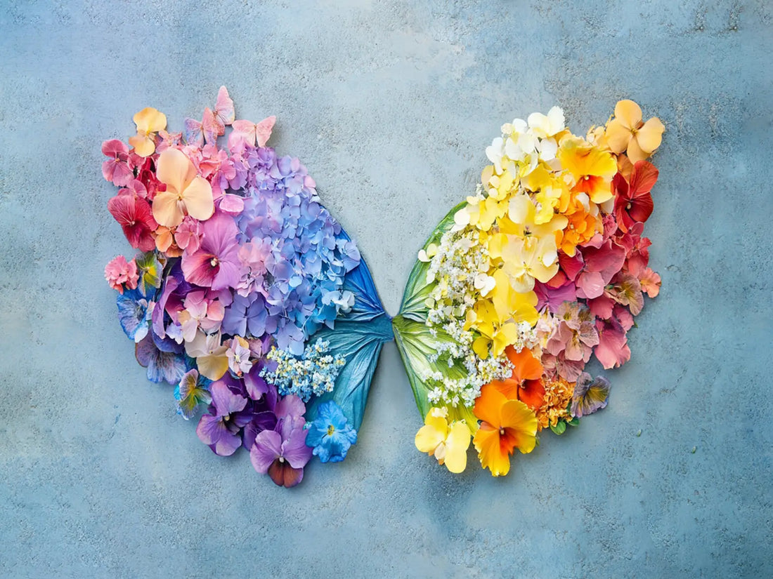 Rainbow Wings