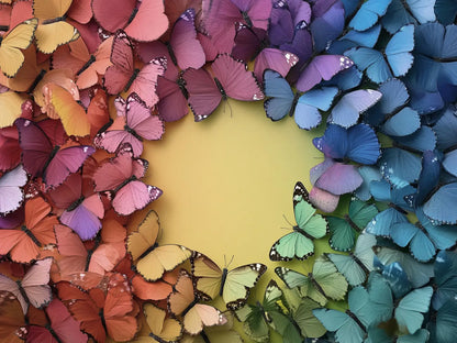 Rainbow Flutter