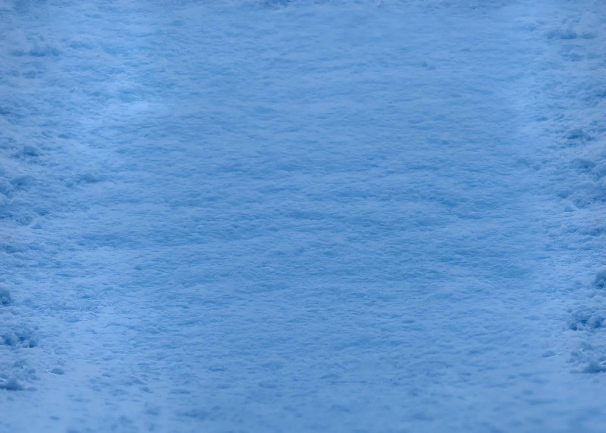 Frozen Forest Rubbermat Floor