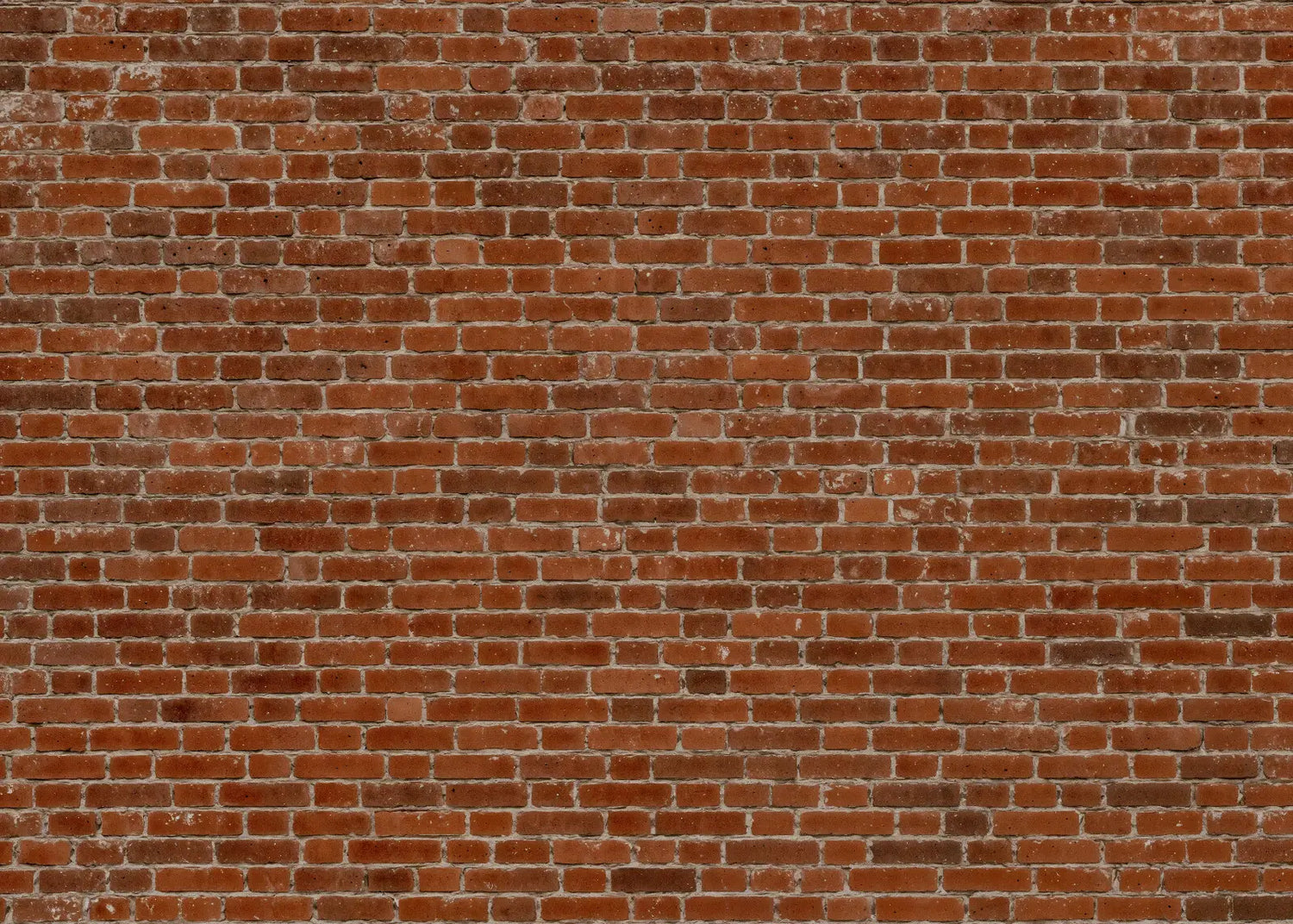 Authentic Weathered Brick Wall