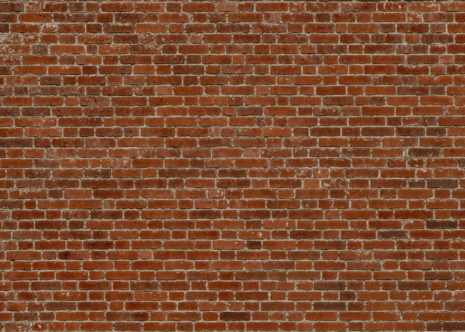 Authentic Weathered Brick Wall