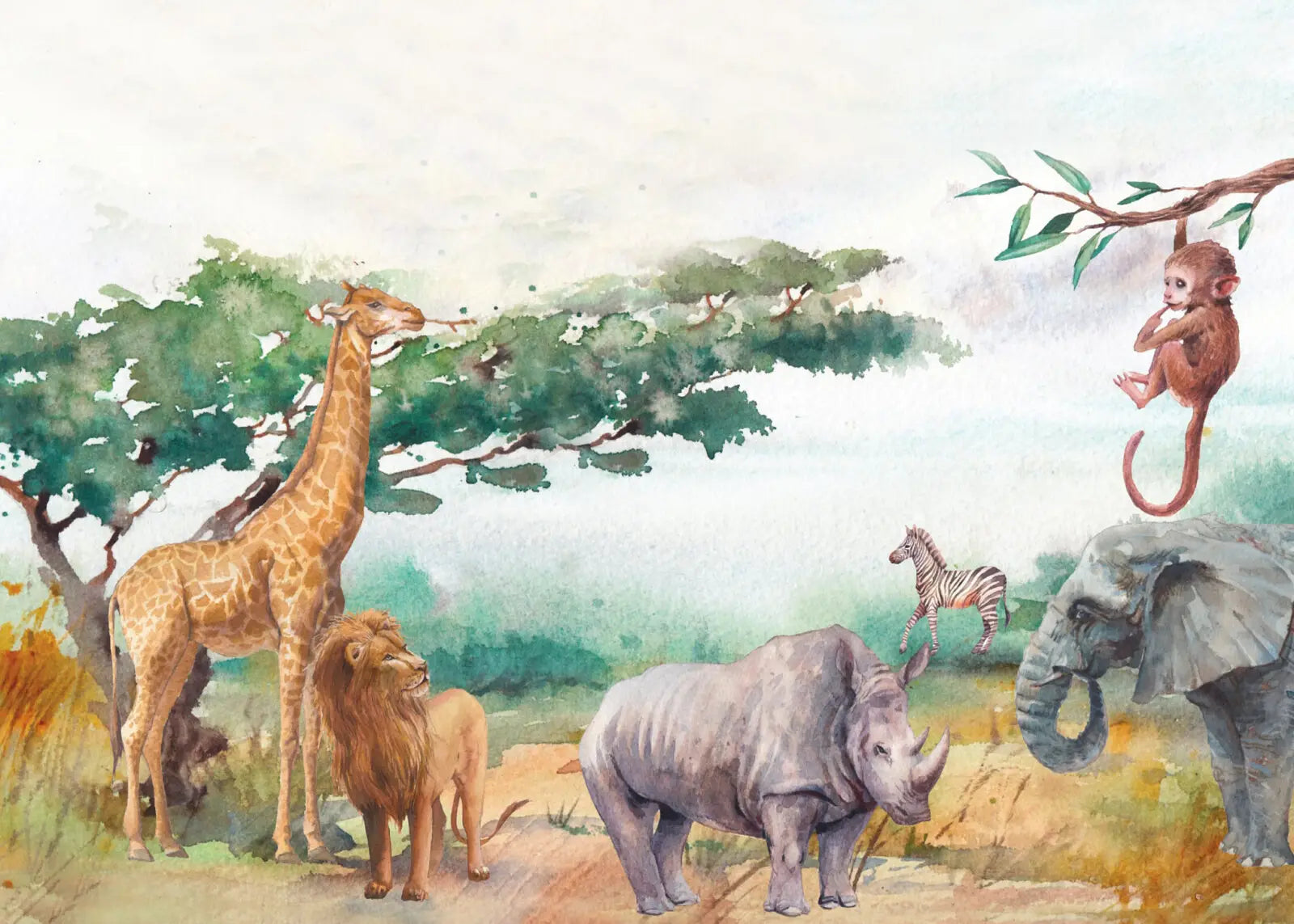 Expedition