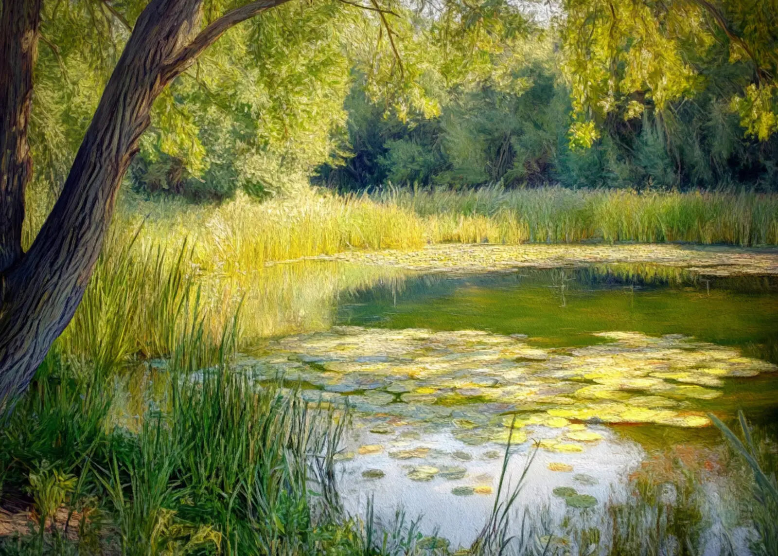 Painterly Pond