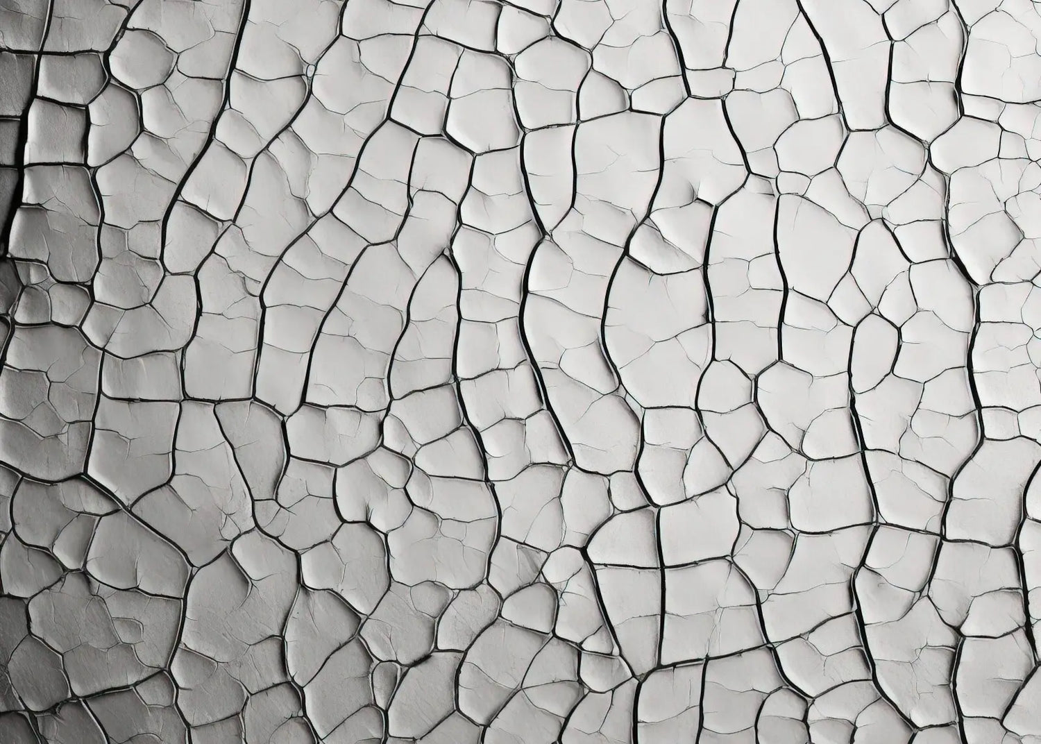 Cracked Salt Field