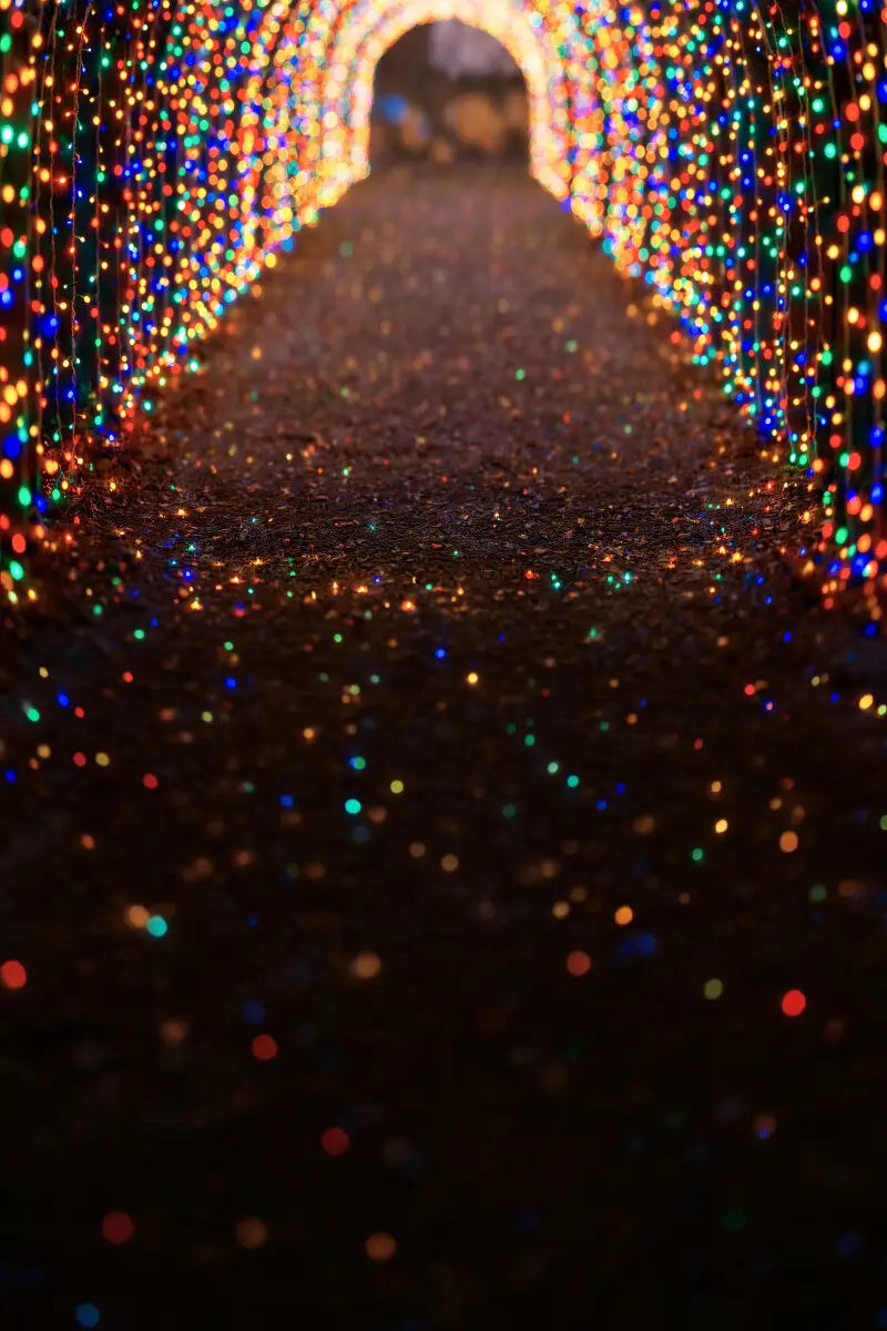 Multicolored Christmas Light Path Sweep