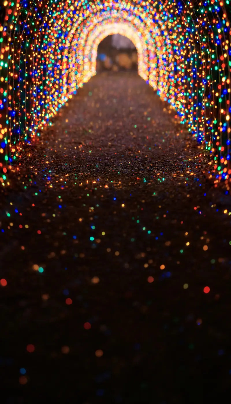 Multicolored Christmas Light Path Sweep