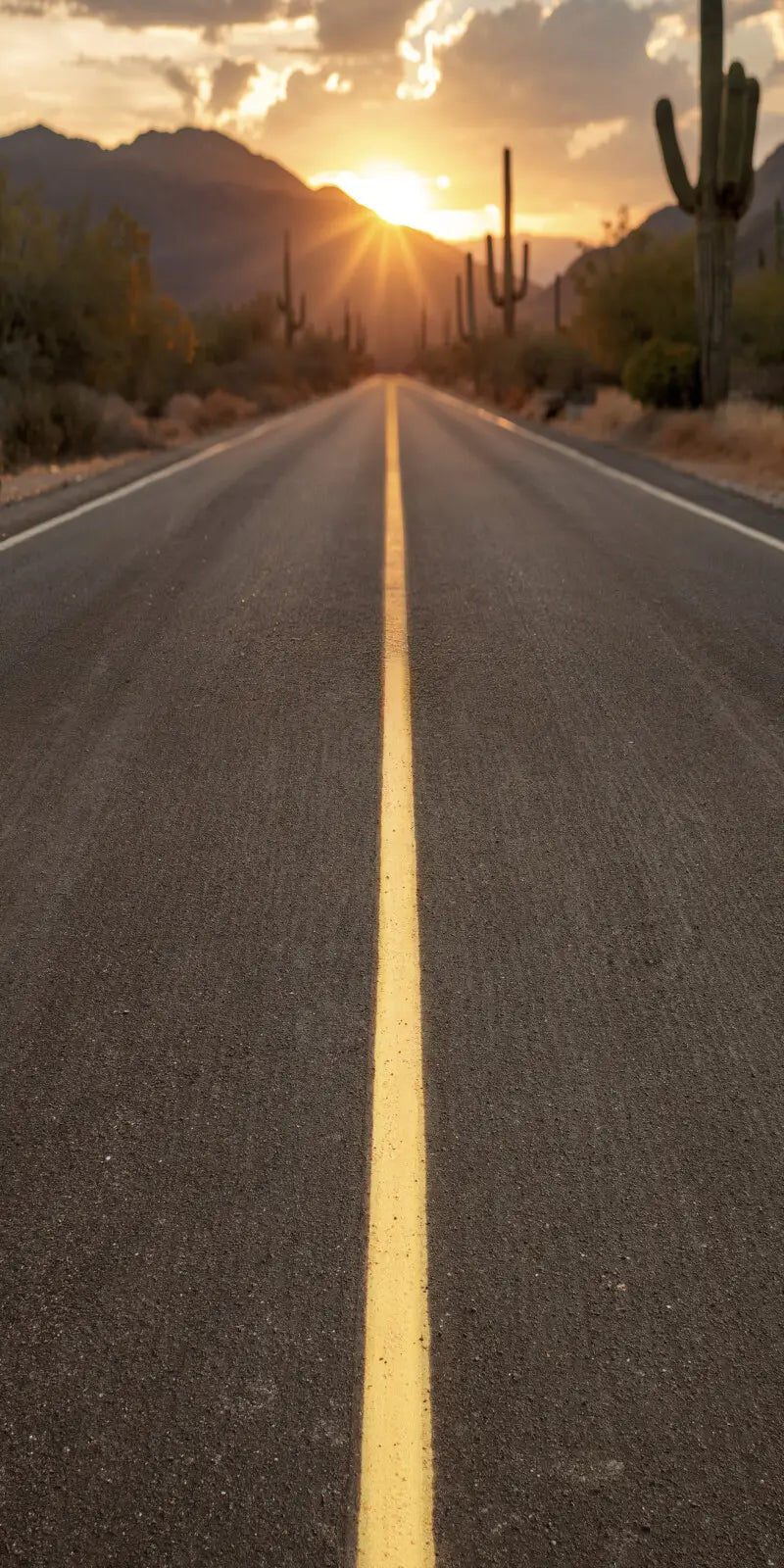 Desert  Highway Sweep