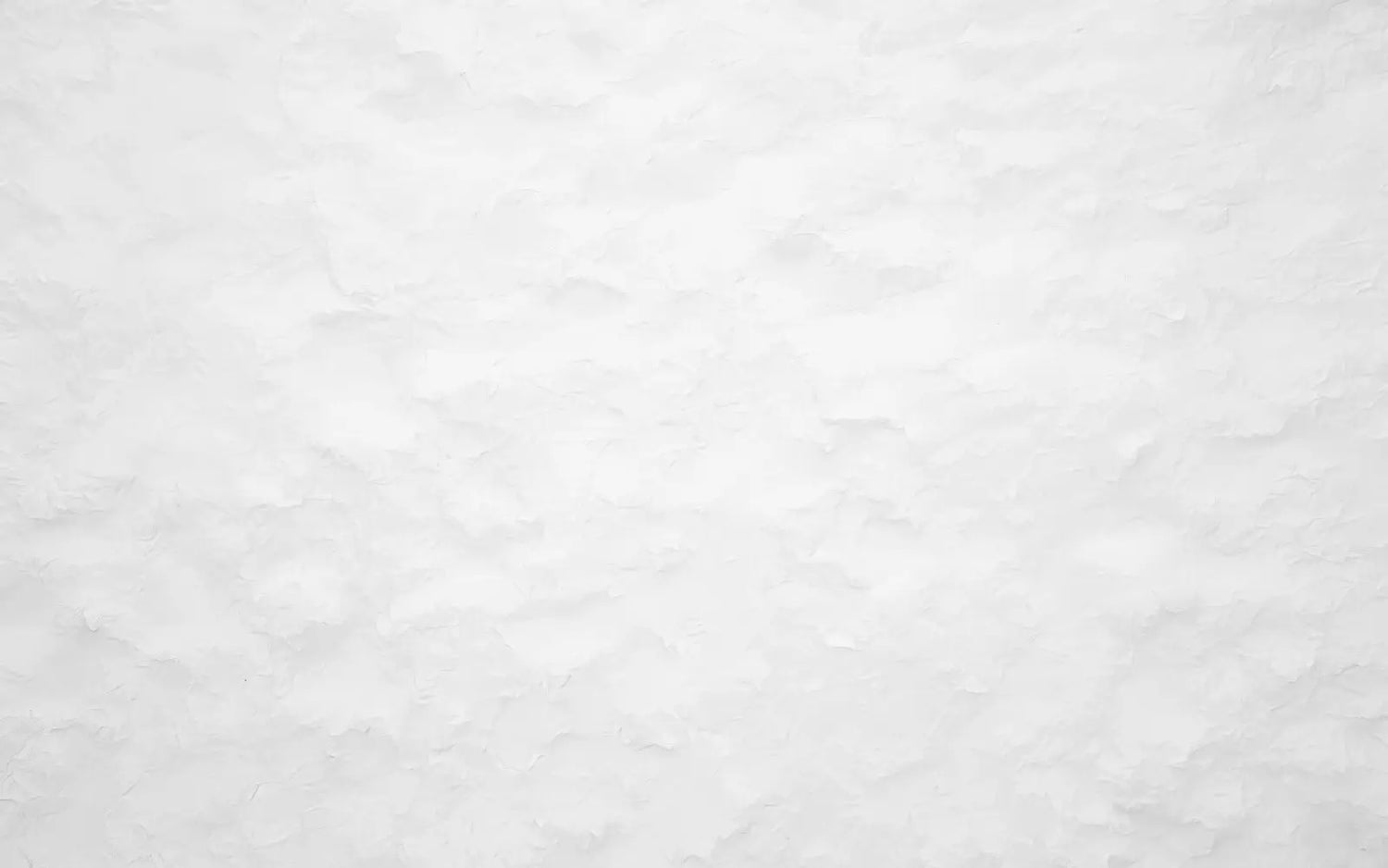 Snowy Winter