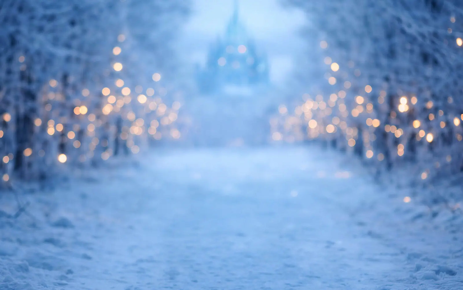 Frozen Forest