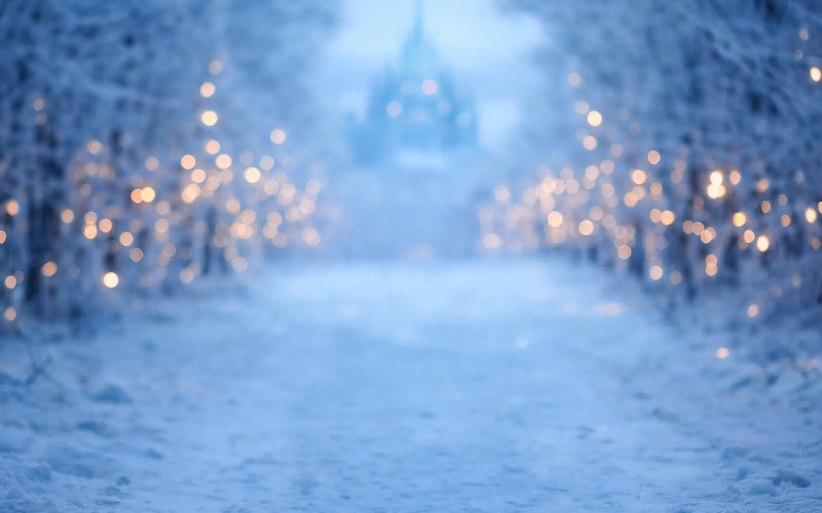 Frozen Forest