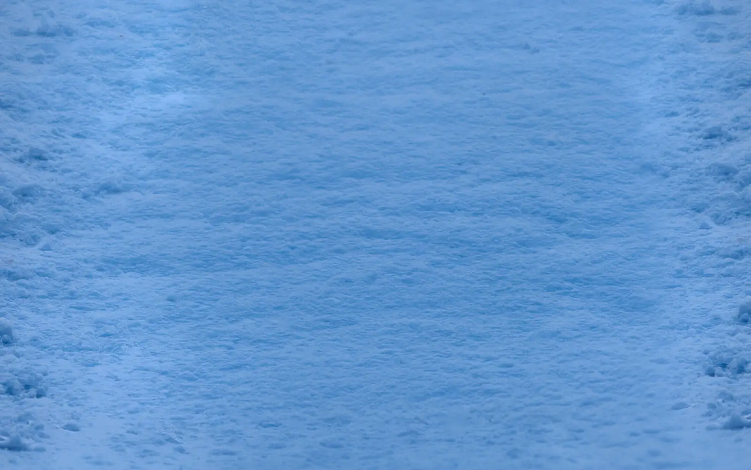 Frozen Forest Rubbermat Floor