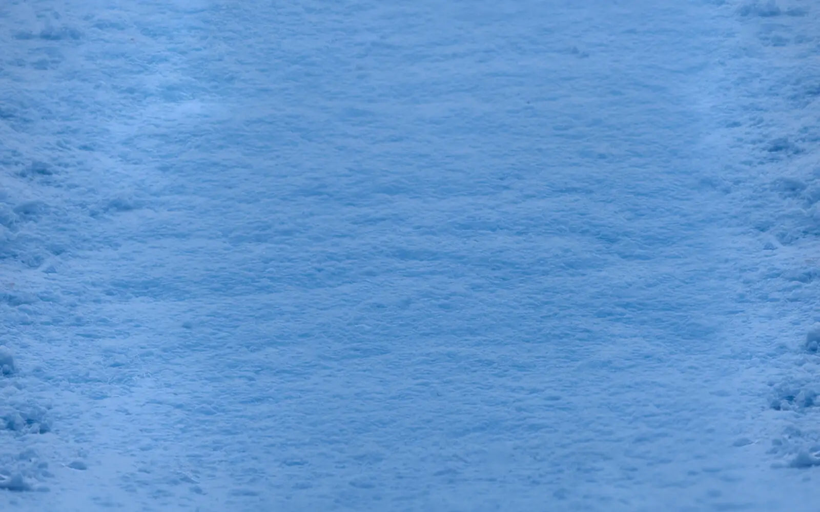 Frozen Forest Rubbermat Floor