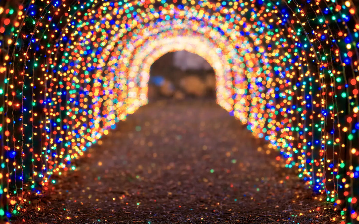 Multicolored Christmas Light Path