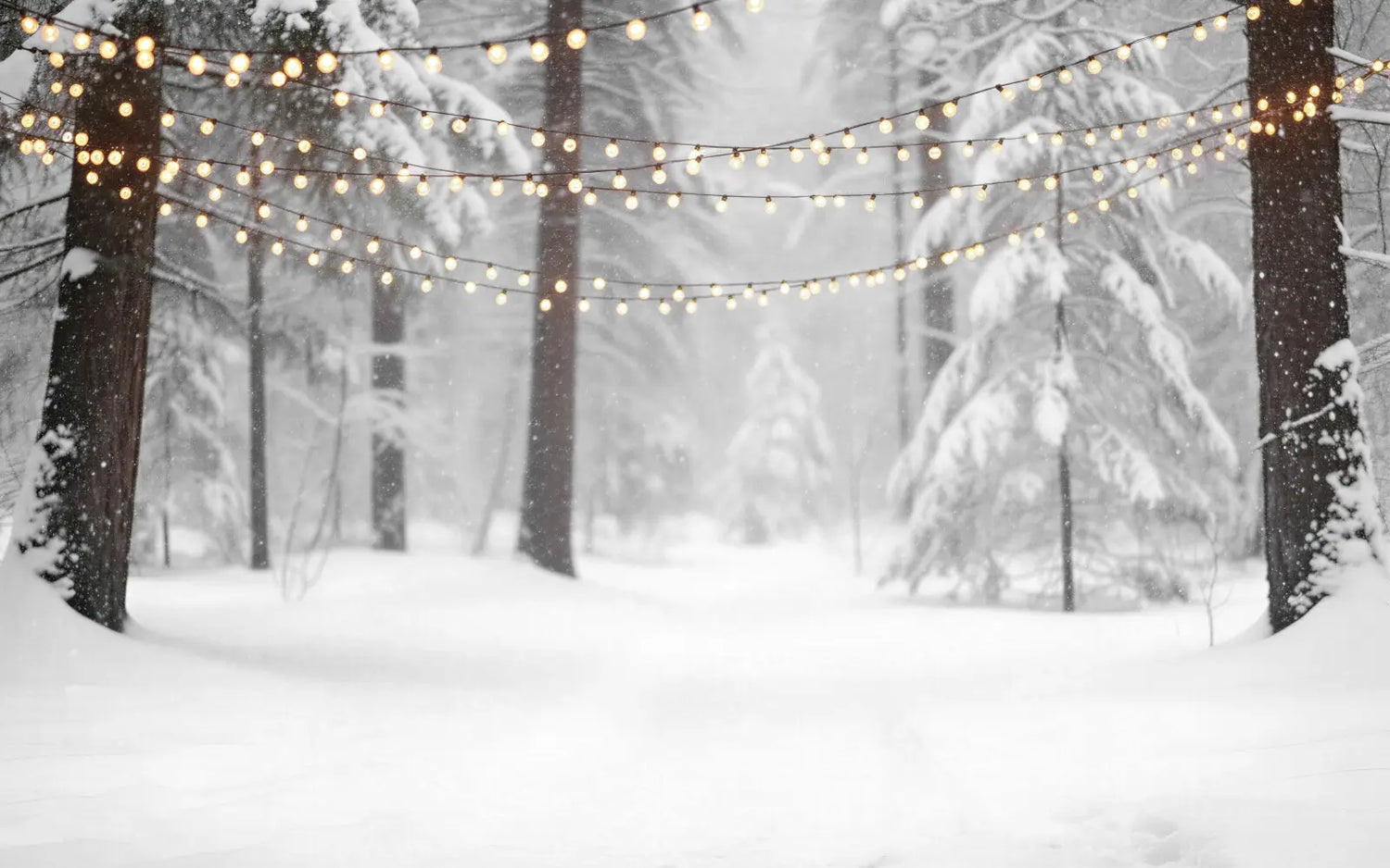 Snowy Forest Wood