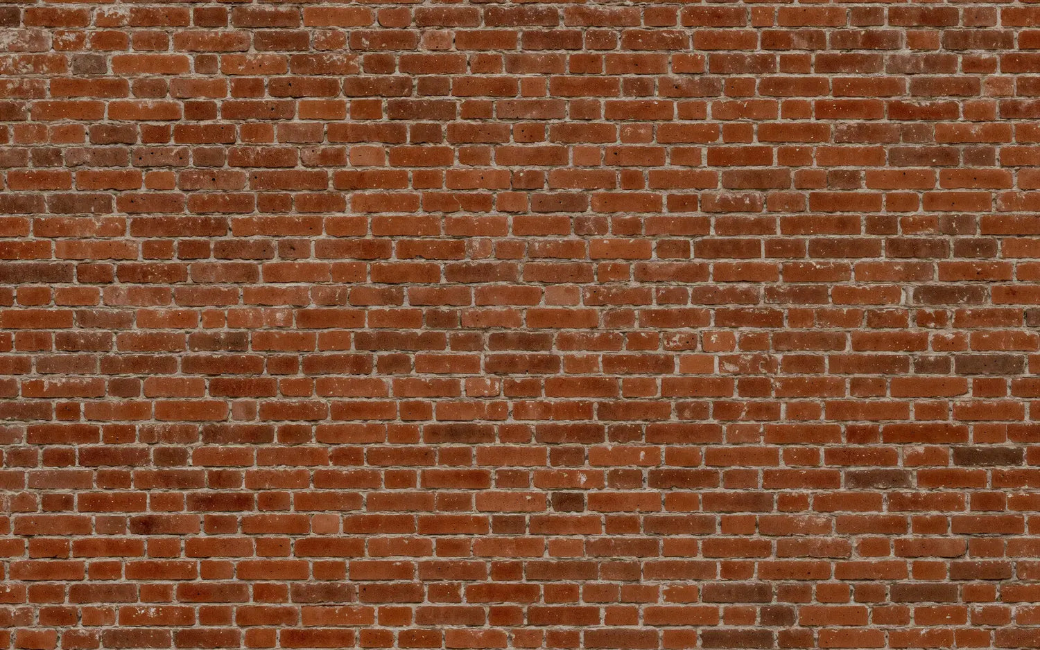 Authentic Weathered Brick Wall
