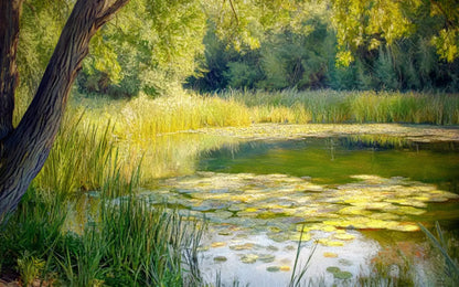Painterly Pond