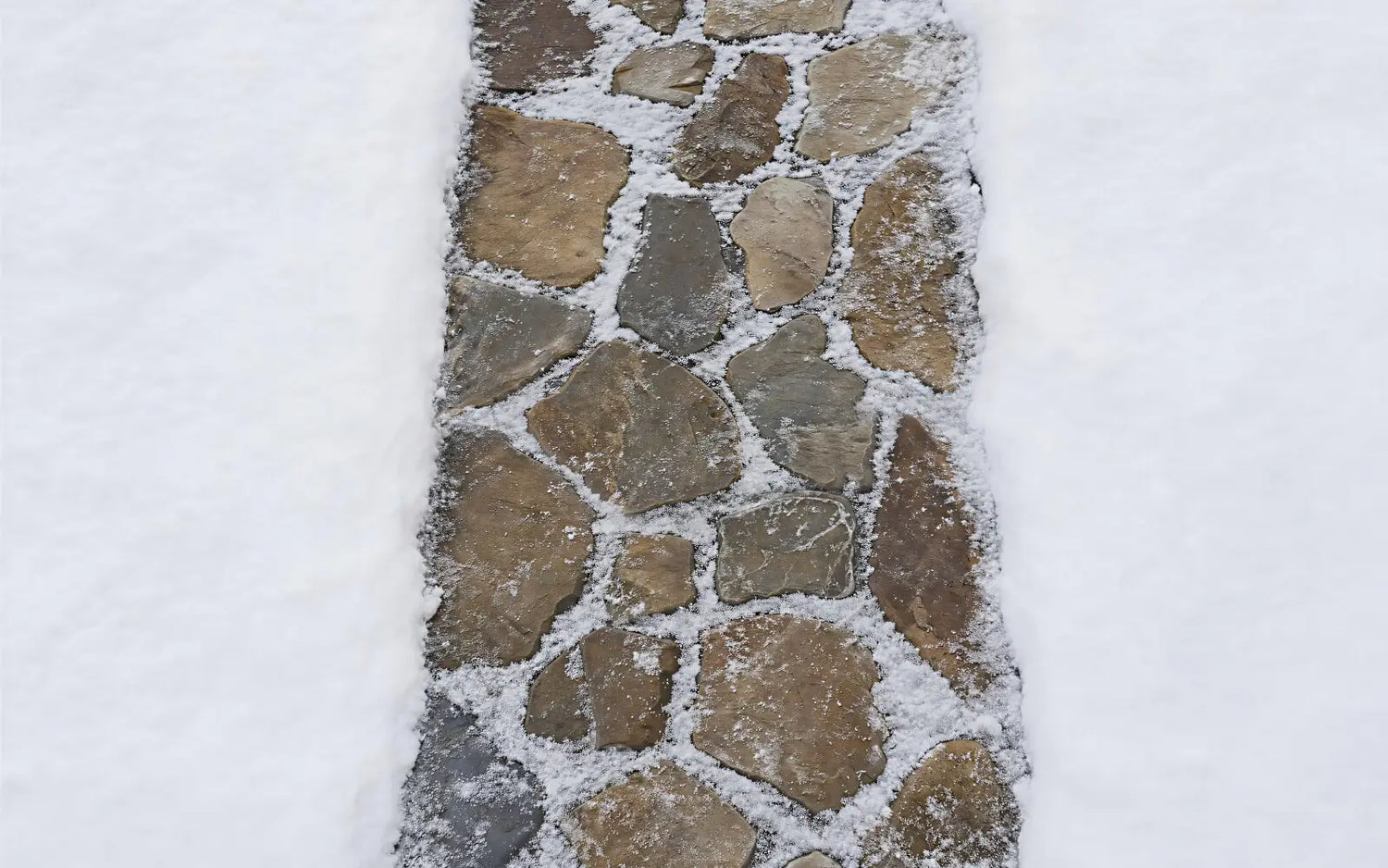 Winter Walkway
