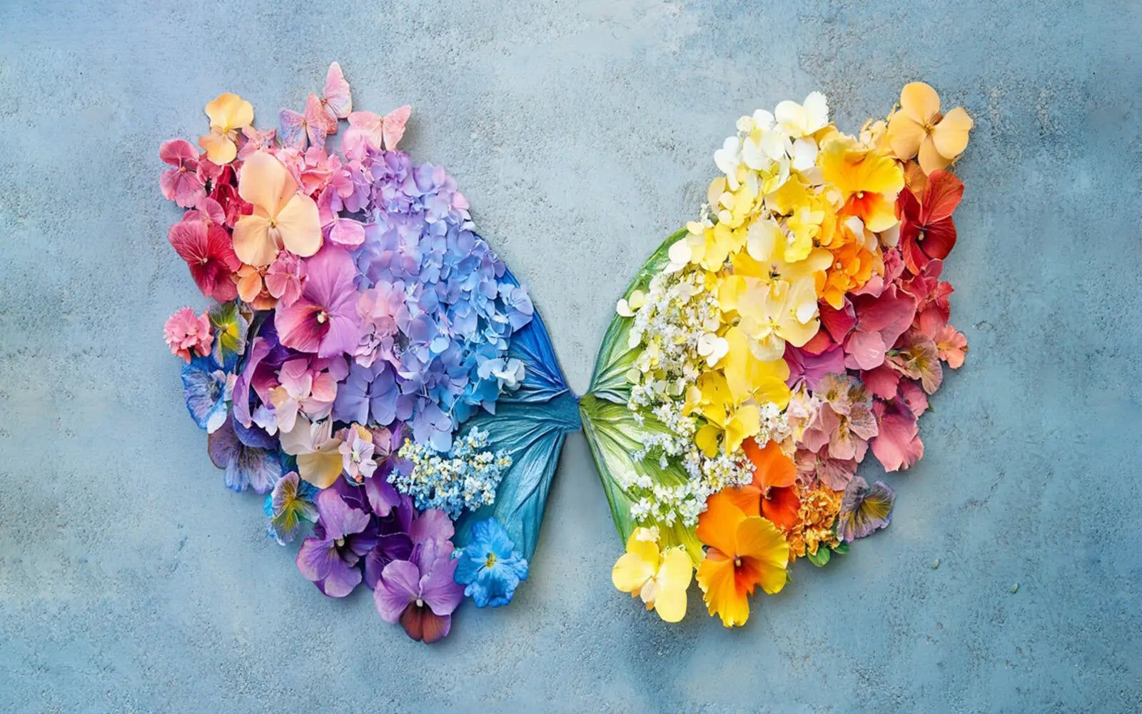 Rainbow Wings