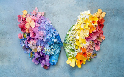 Rainbow Wings