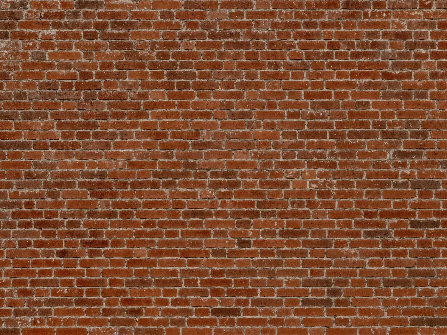 Authentic Weathered Brick Wall
