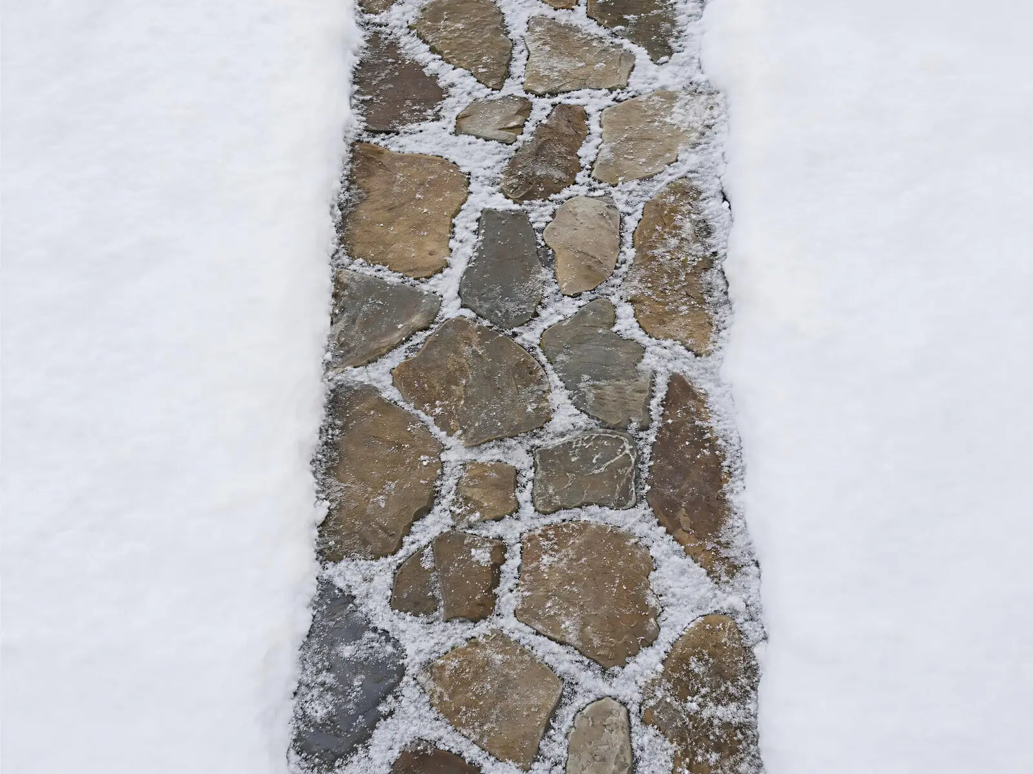 Winter Walkway