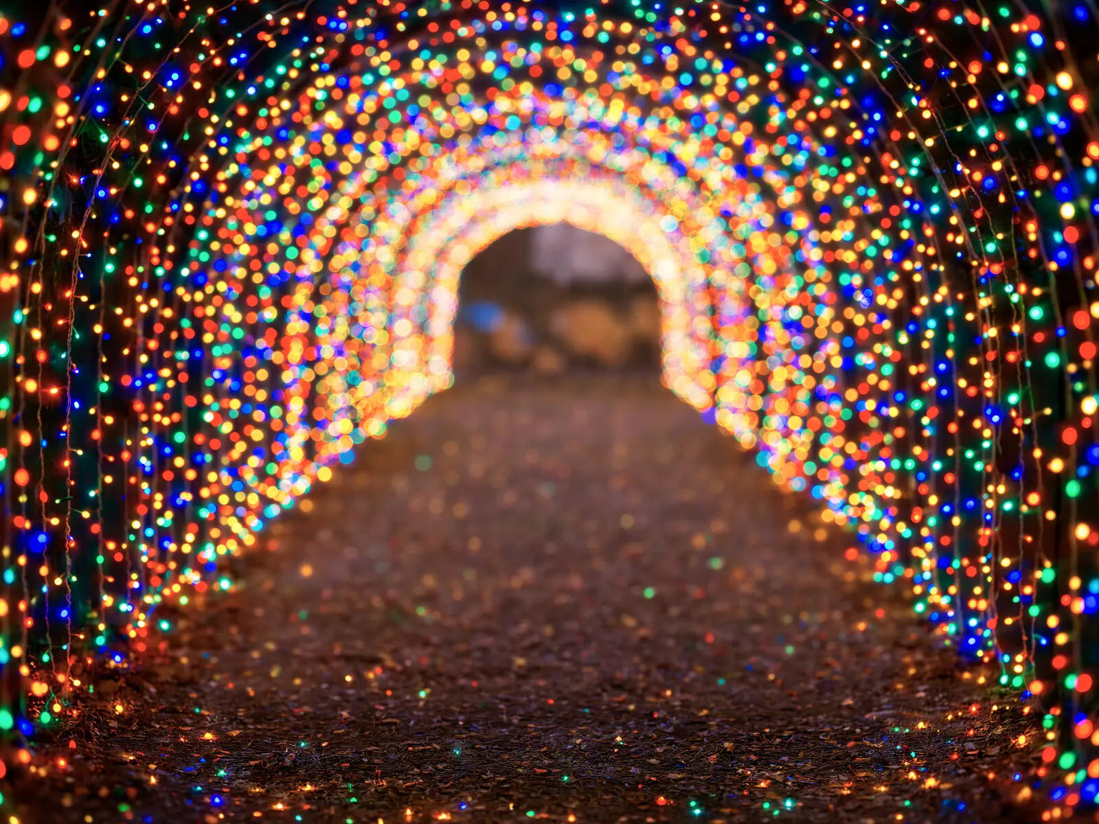 Multicolored Christmas Light Path