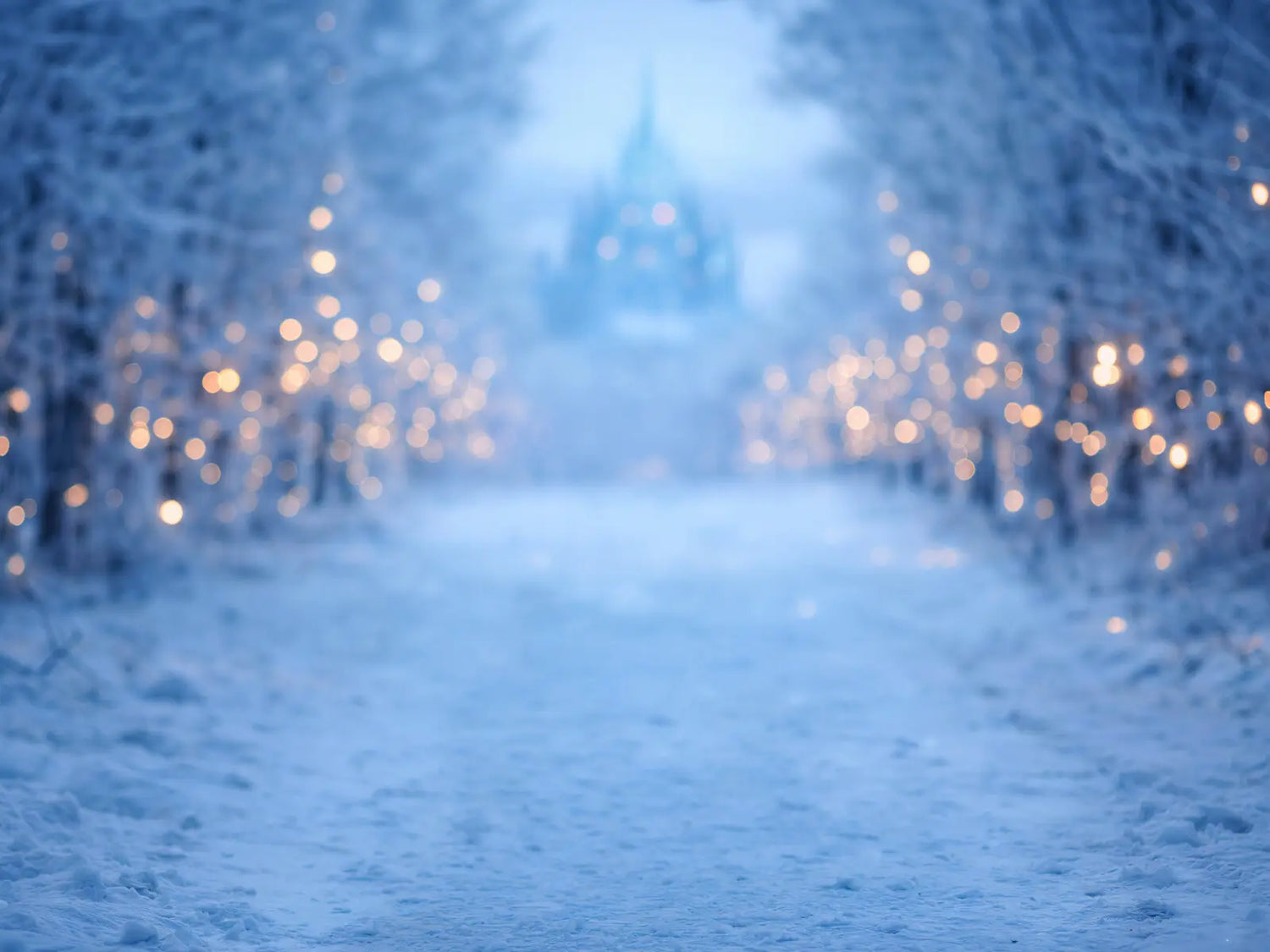 Frozen Forest