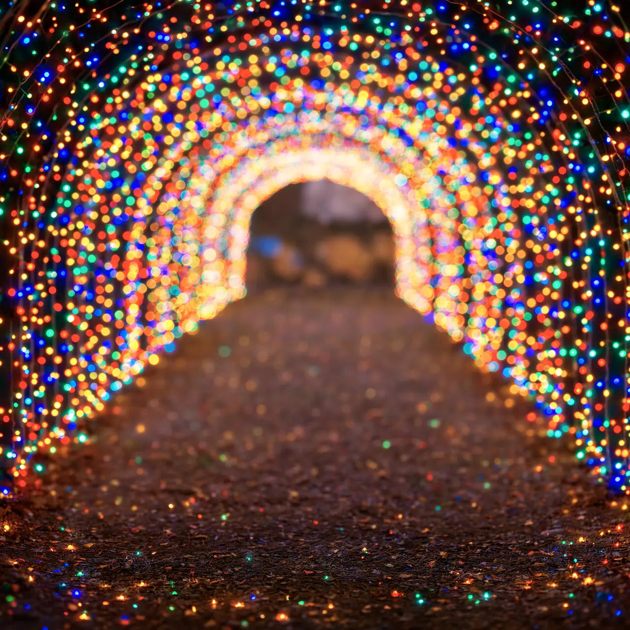 Multicolored Christmas Light Path