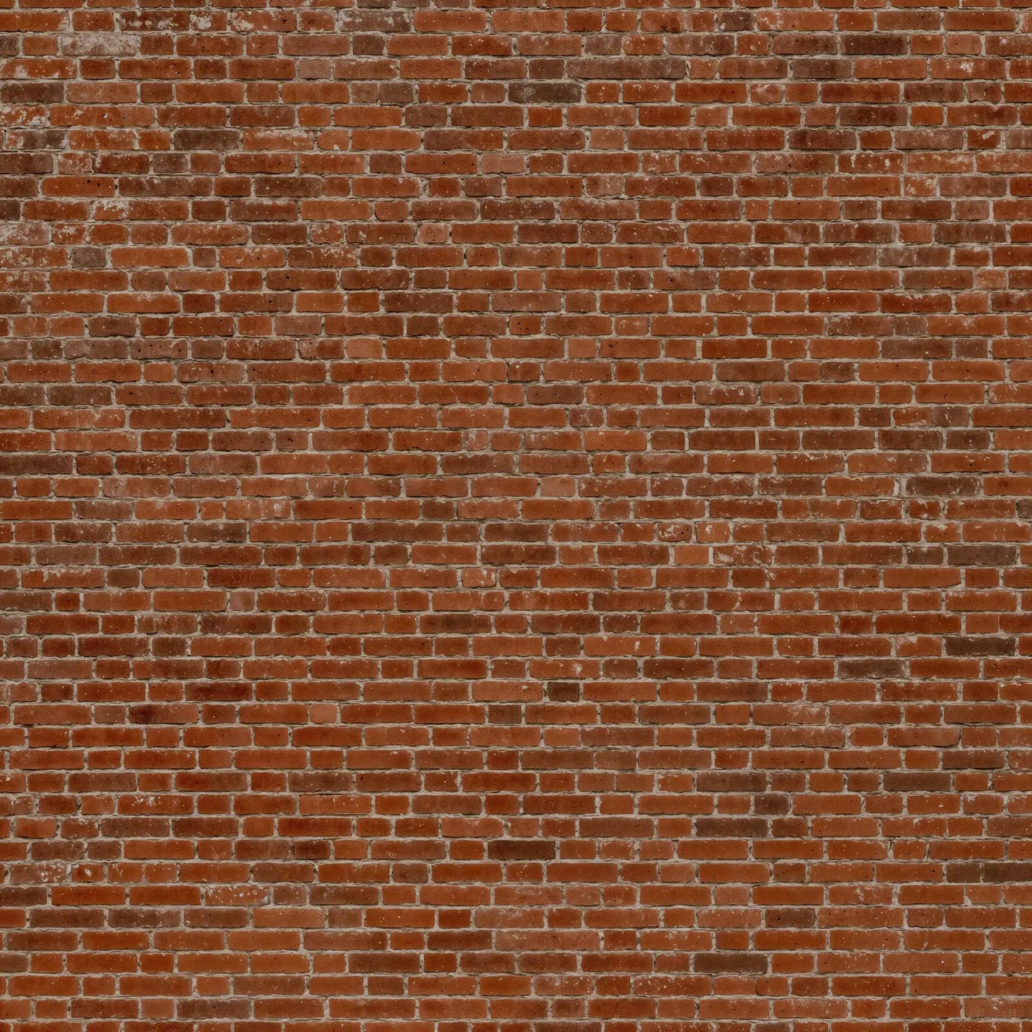 Authentic Weathered Brick Wall