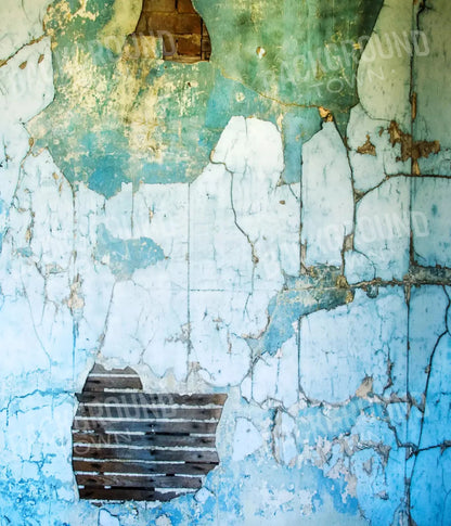 Abandoned 10X12 Ultracloth ( 120 X 144 Inch ) Backdrop
