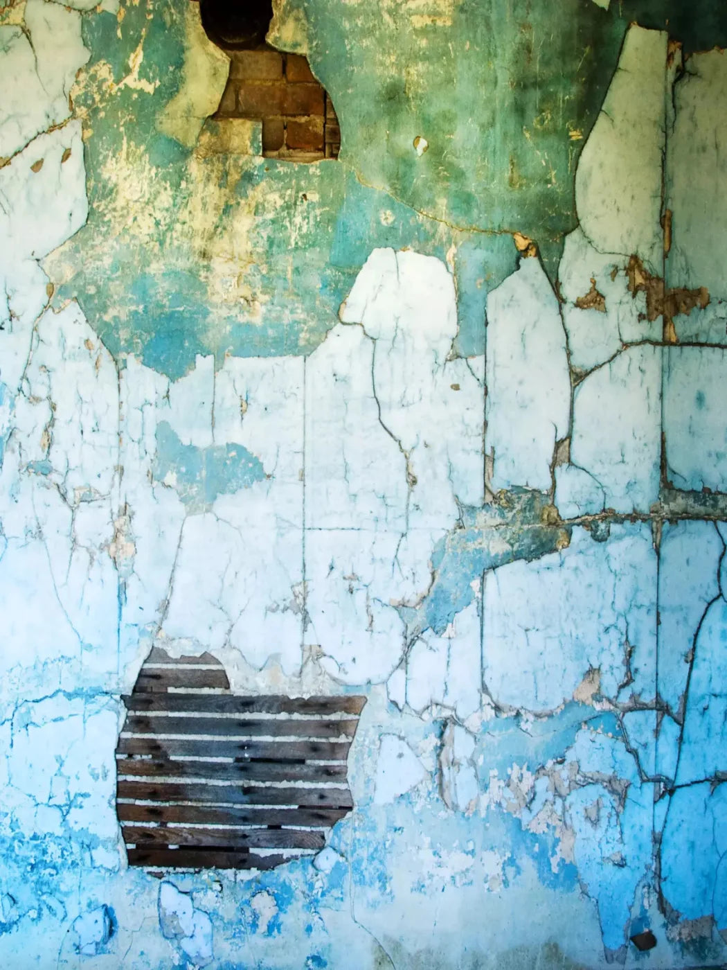 Abandoned 5X68 Fleece ( 60 X 80 Inch ) Backdrop