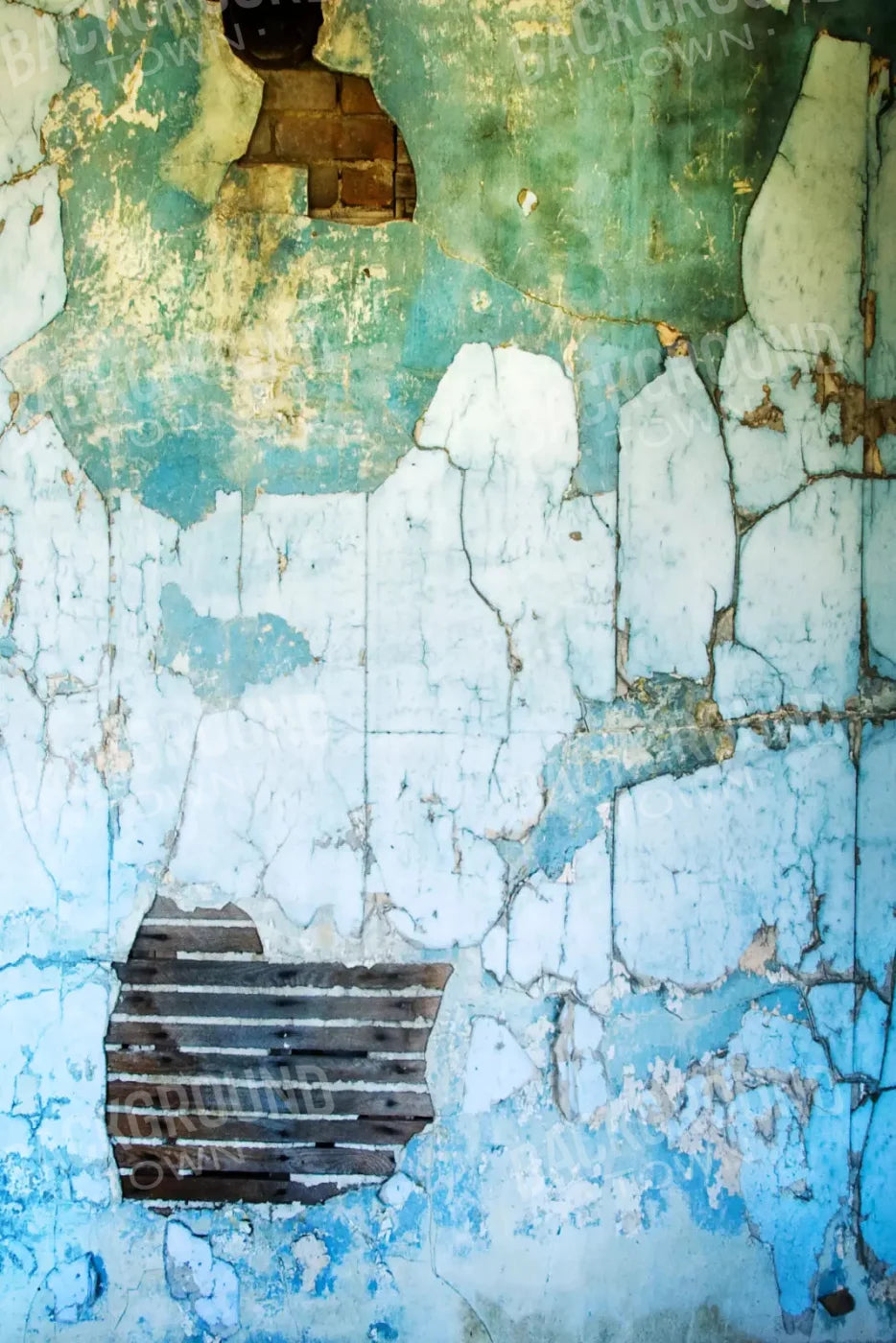 Abandoned 5X8 Ultracloth ( 60 X 96 Inch ) Backdrop