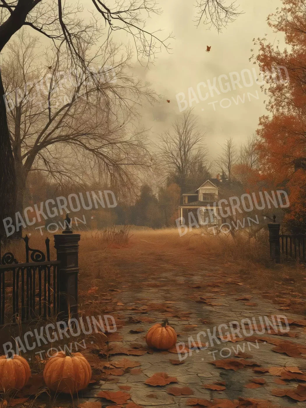 Abandoned Fall Drive 5’X6’8 Fleece (60 X 80 Inch) Backdrop