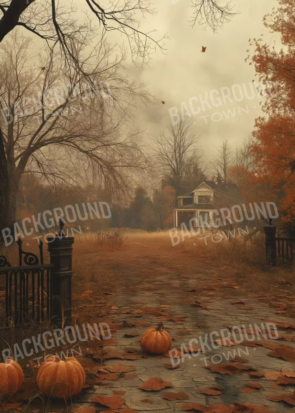 Abandoned Fall Drive 5’X7’ Ultracloth (60 X 84 Inch) Backdrop