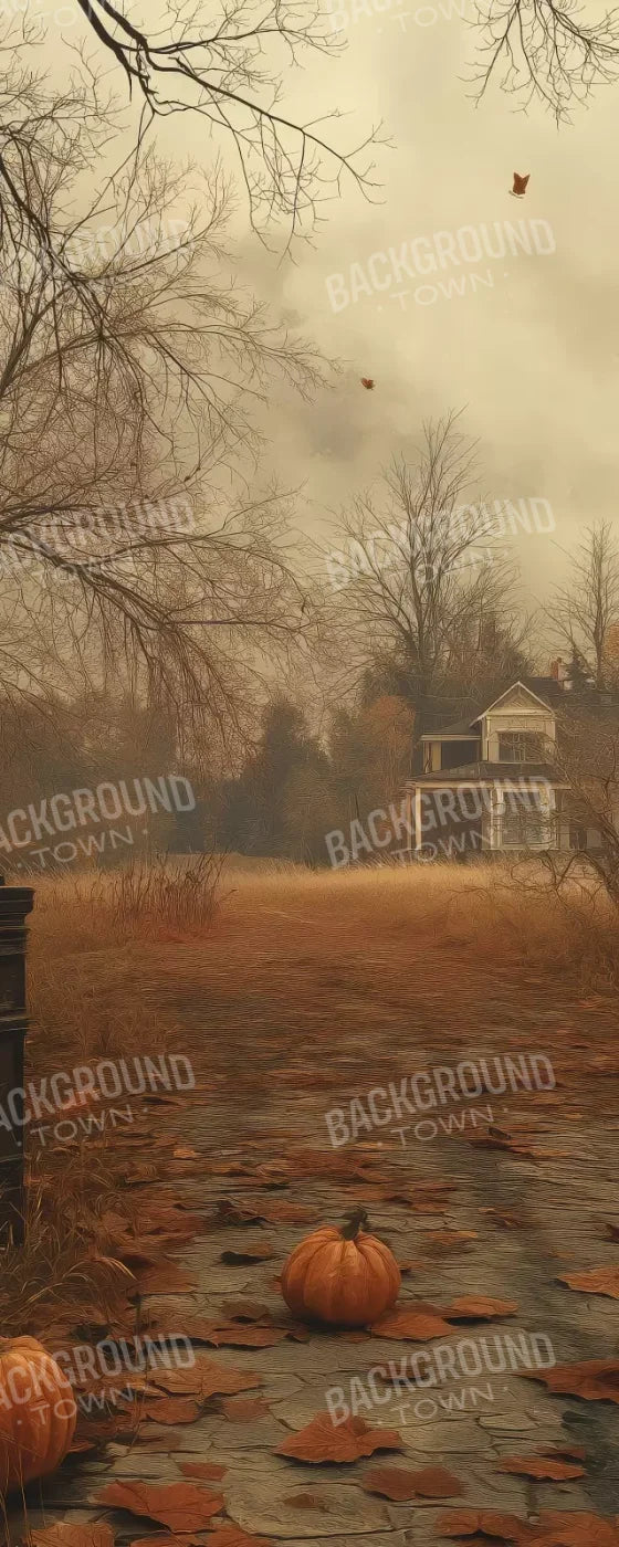 Abandoned Fall Drive 8’X20’ Ultracloth (96 X 240 Inch) Backdrop