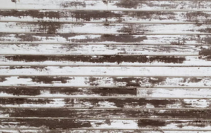 Abe 16X10 Ultracloth ( 192 X 120 Inch ) Backdrop