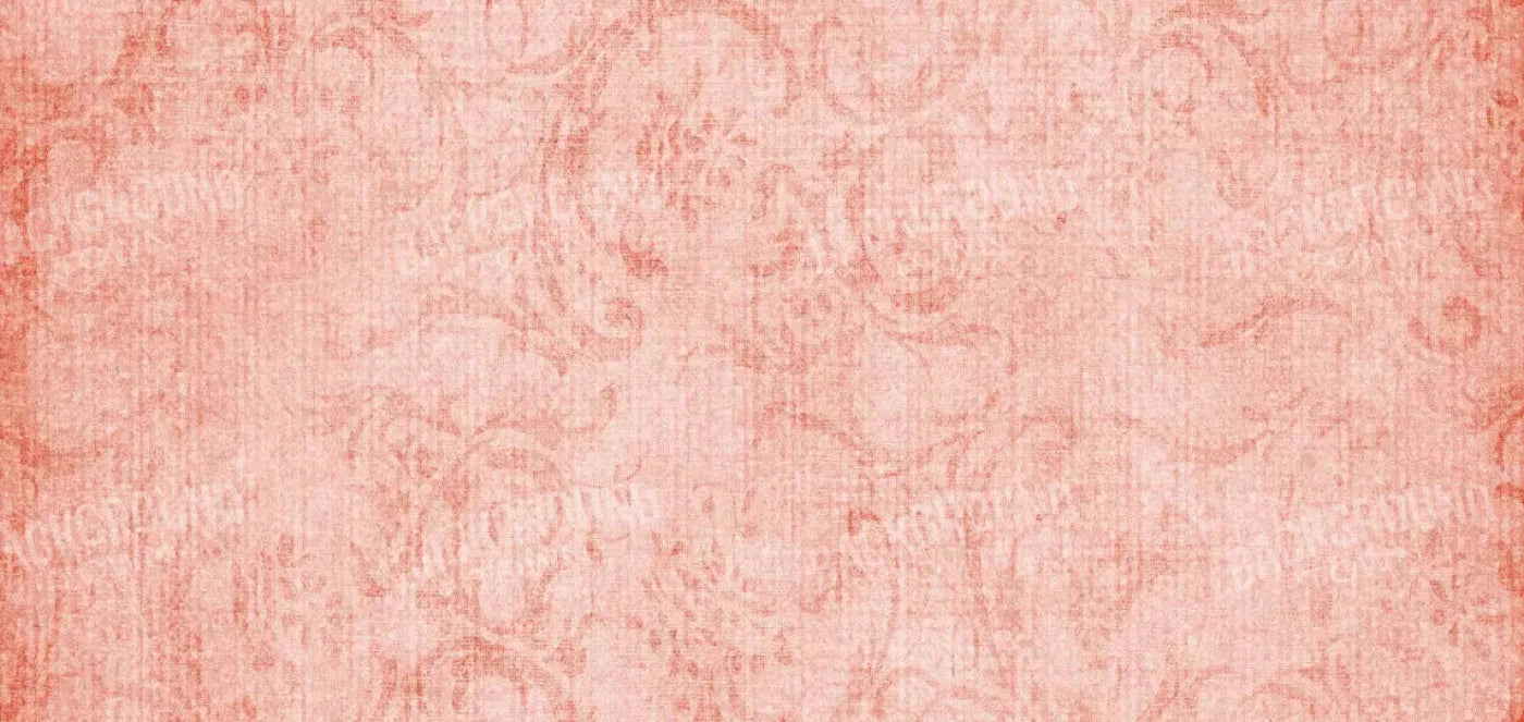 Abella 16X8 Ultracloth ( 192 X 96 Inch ) Backdrop