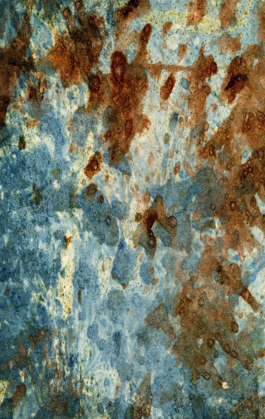Absurd 10X16 Ultracloth ( 120 X 192 Inch ) Backdrop