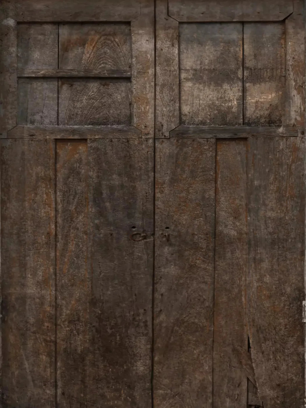 Access 8X10 Fleece ( 96 X 120 Inch ) Backdrop