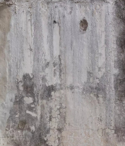 Acid Wash 10X12 Ultracloth ( 120 X 144 Inch ) Backdrop