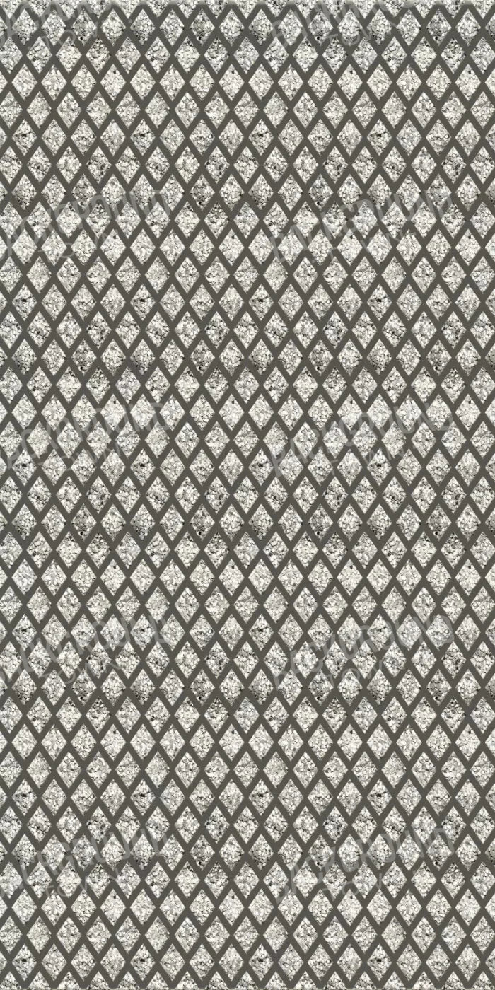 Adamson 10X20 Ultracloth ( 120 X 240 Inch ) Backdrop