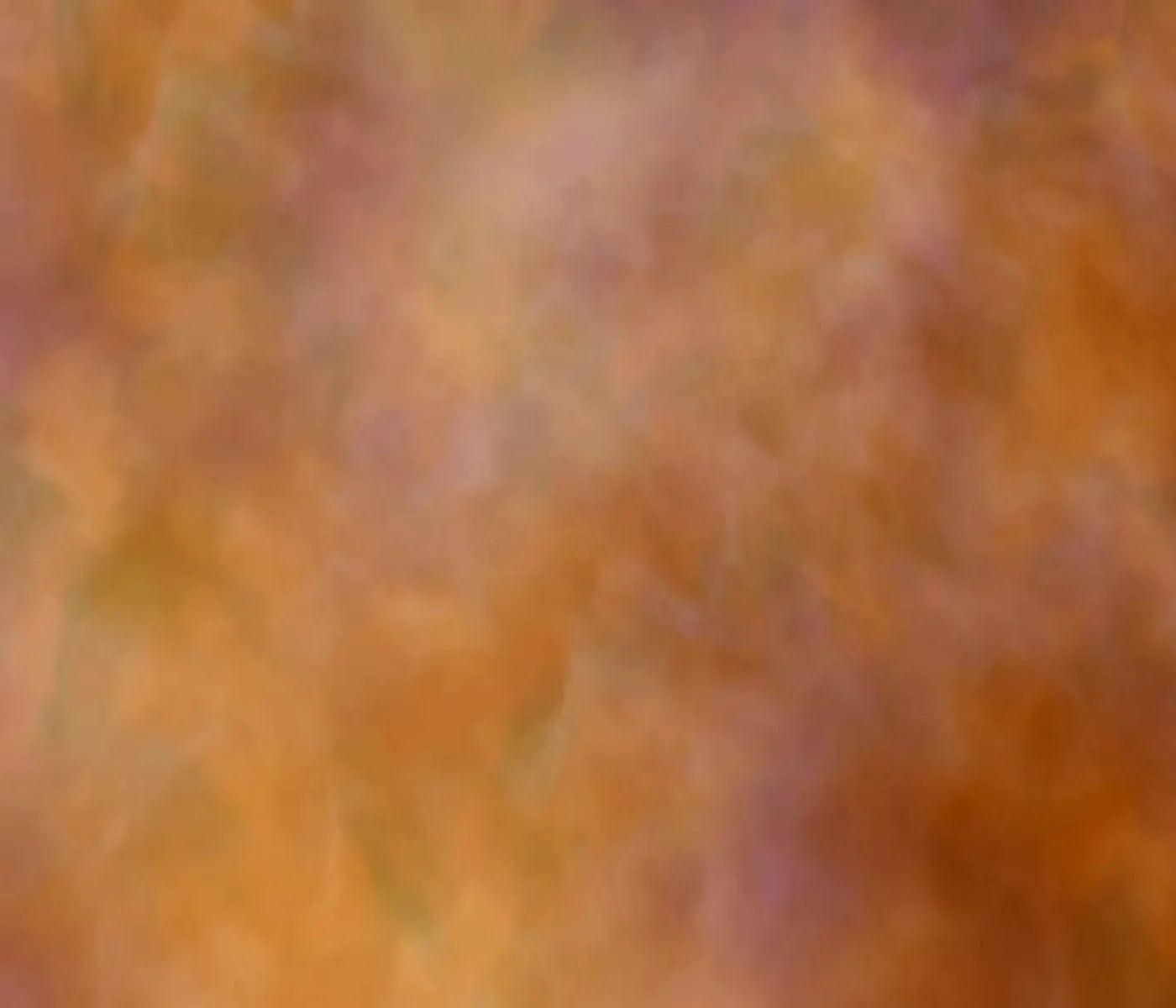 Adept 12X10 Ultracloth ( 144 X 120 Inch ) Backdrop