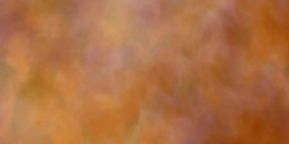Adept 20X10 Ultracloth ( 240 X 120 Inch ) Backdrop