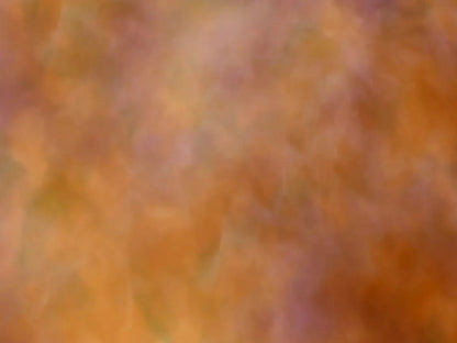 Adept 68X5 Fleece ( 80 X 60 Inch ) Backdrop