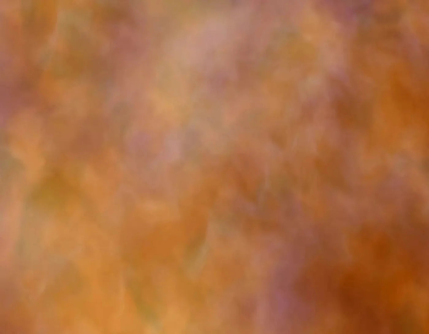 Adept 8X6 Fleece ( 96 X 72 Inch ) Backdrop