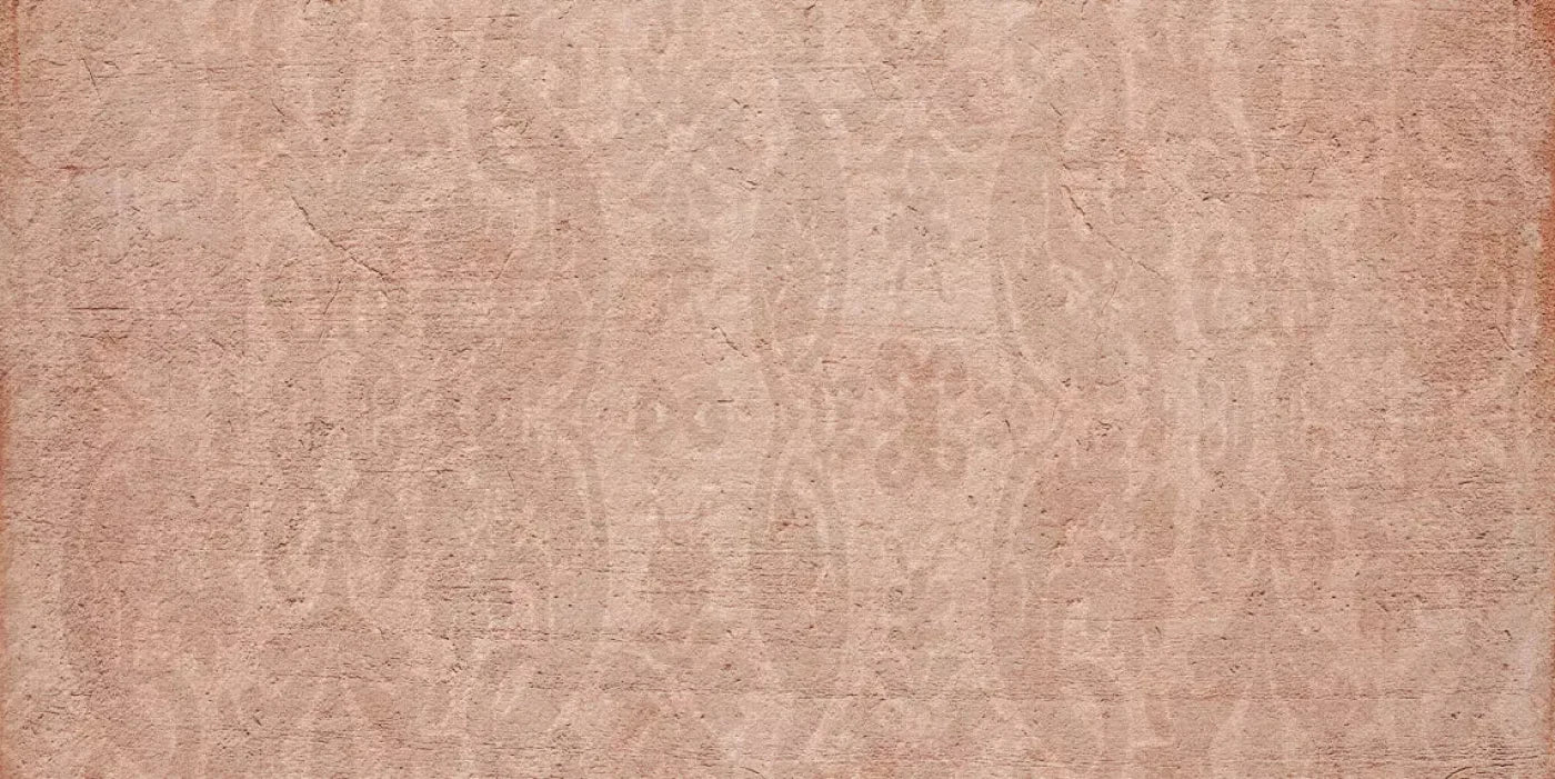 Adley 20X10 Ultracloth ( 240 X 120 Inch ) Backdrop