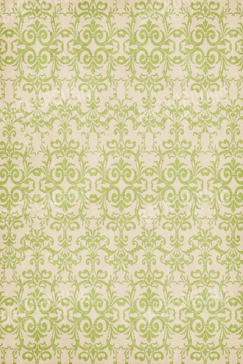 Agave 5X8 Ultracloth ( 60 X 96 Inch ) Backdrop